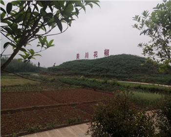 宜賓美川花椒烘干新項(xiàng)目設(shè)備進(jìn)場安裝