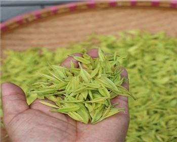 四川果蔬烘干機(jī)的好處有哪些呢？